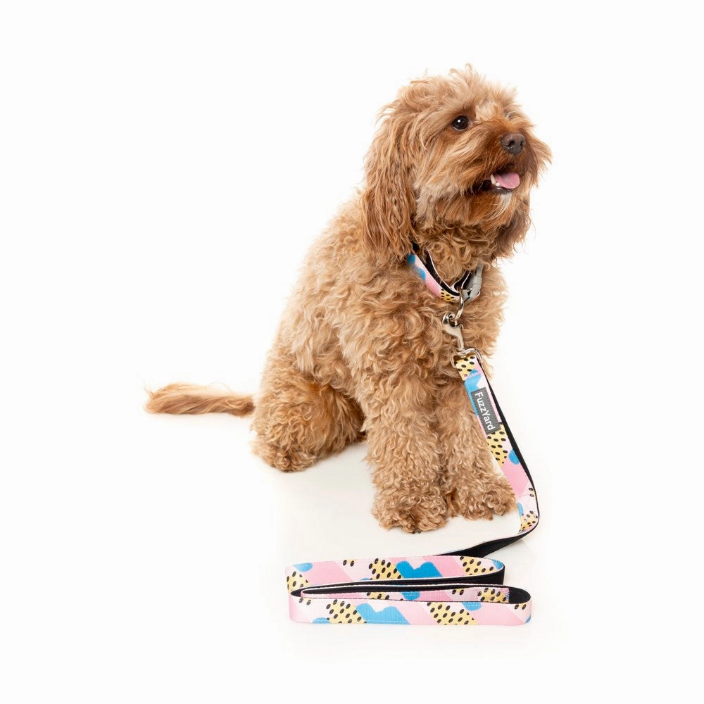 FuzzYard Dog Leash (Jiggy)