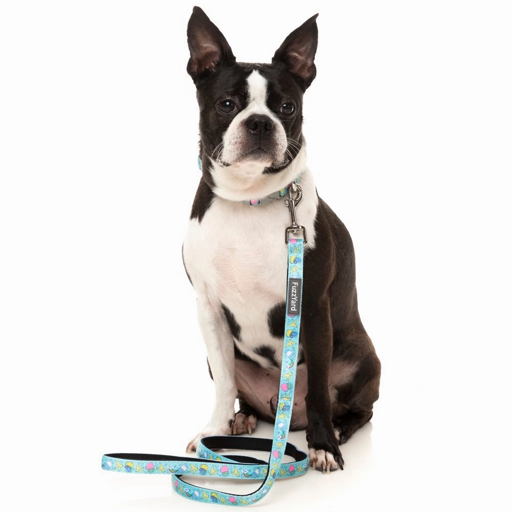 FuzzYard Dog Leash (Wakey Wakey)