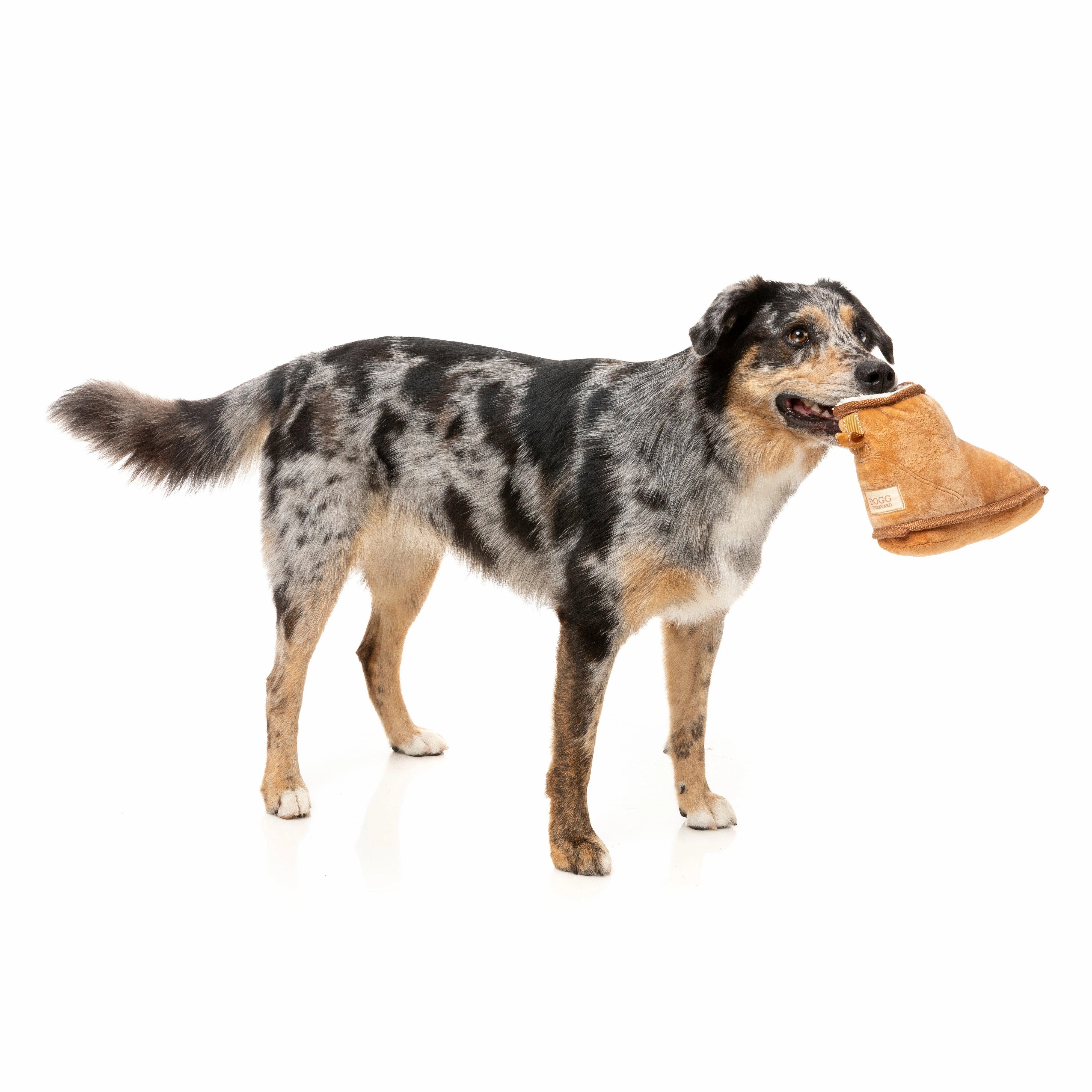 Fuzzyard Dog Toy Dogg Boot