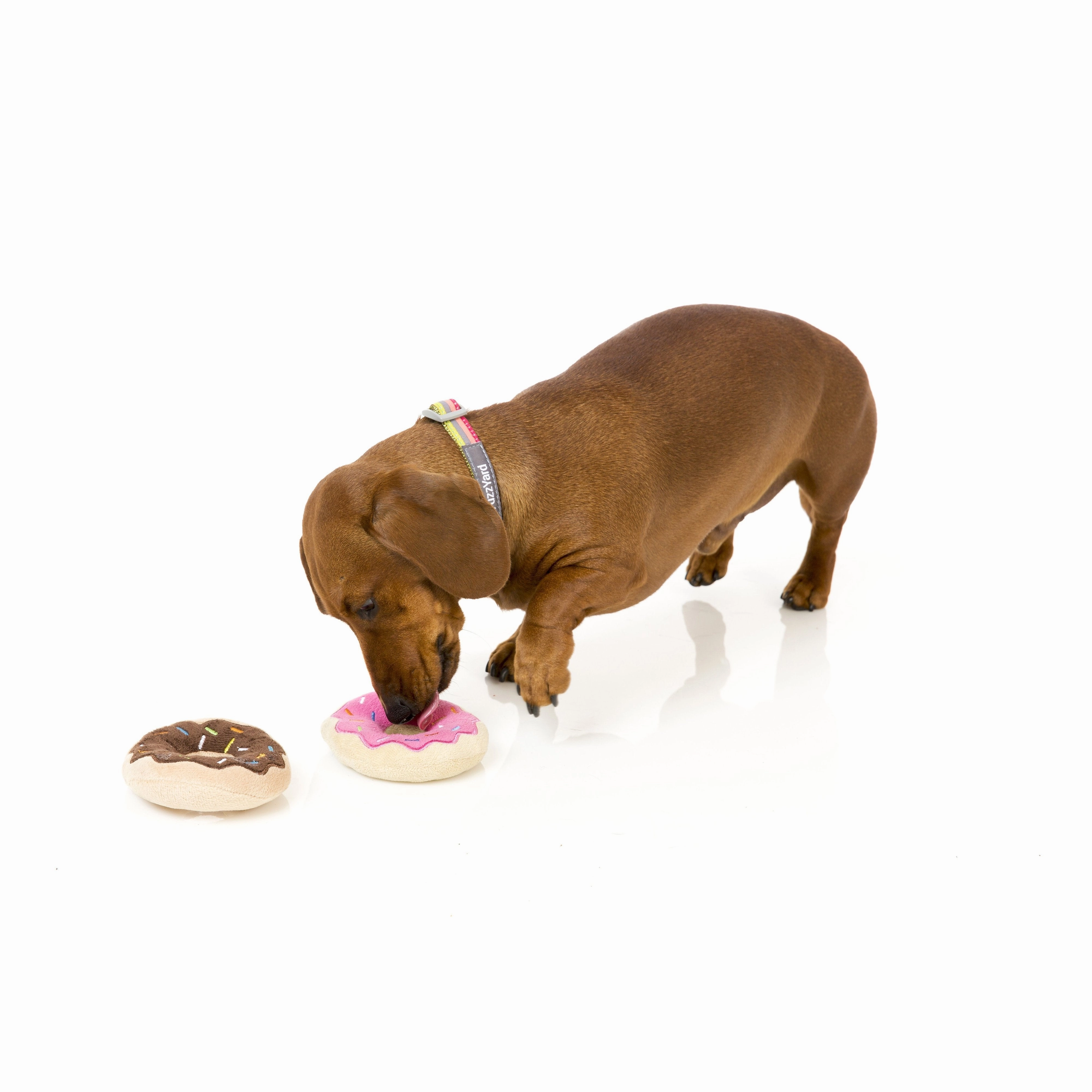 FuzzYard Dog Toy Donuts 2 Pack