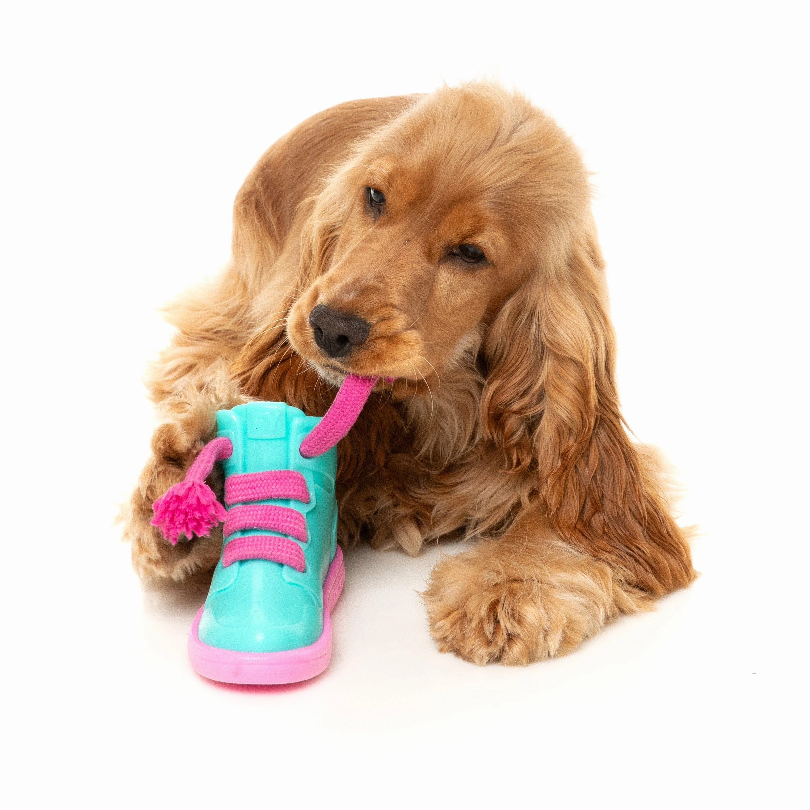 Fuzzyard Dog Toy Fresh Kicks n Licks