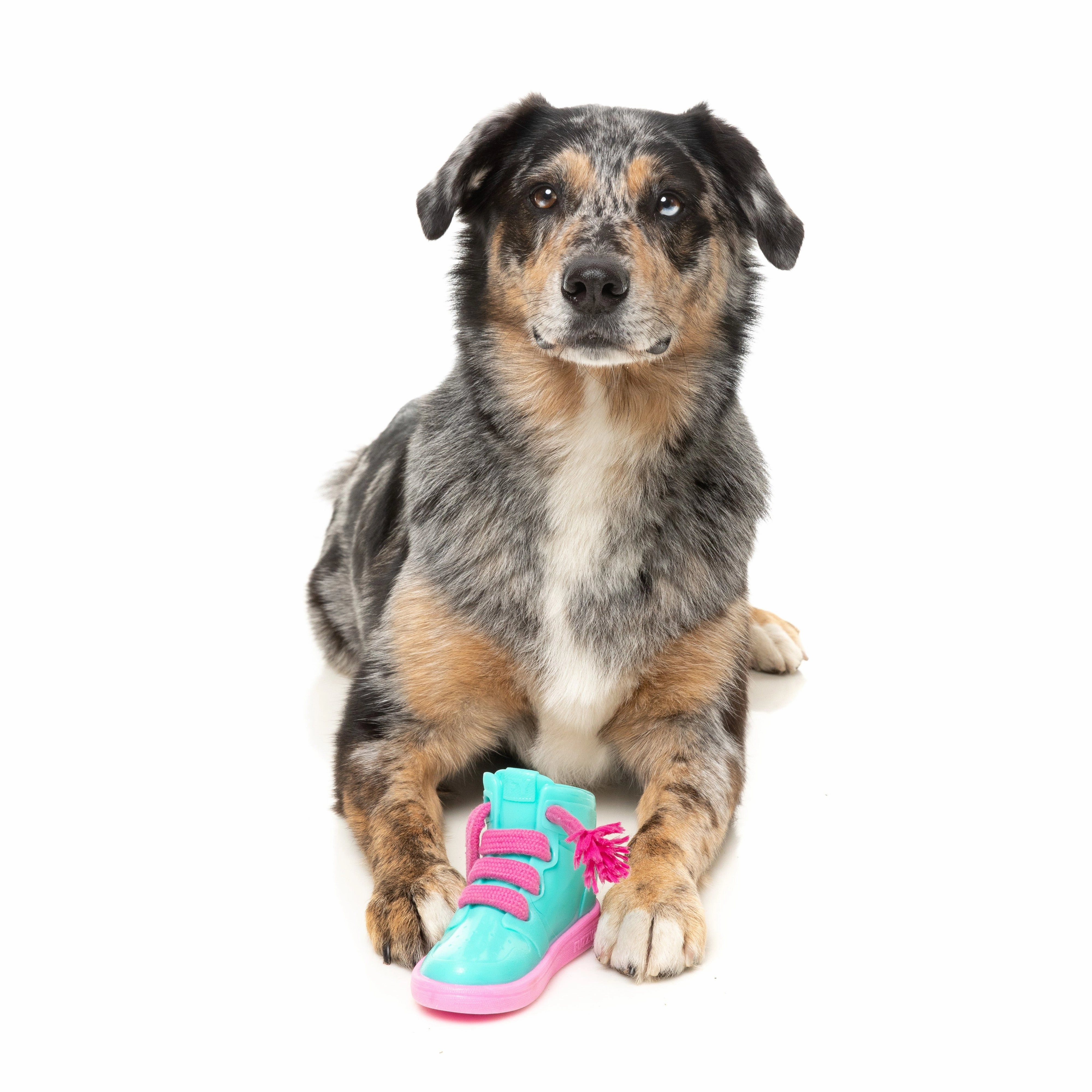 Fuzzyard Dog Toy Fresh Kicks n Licks