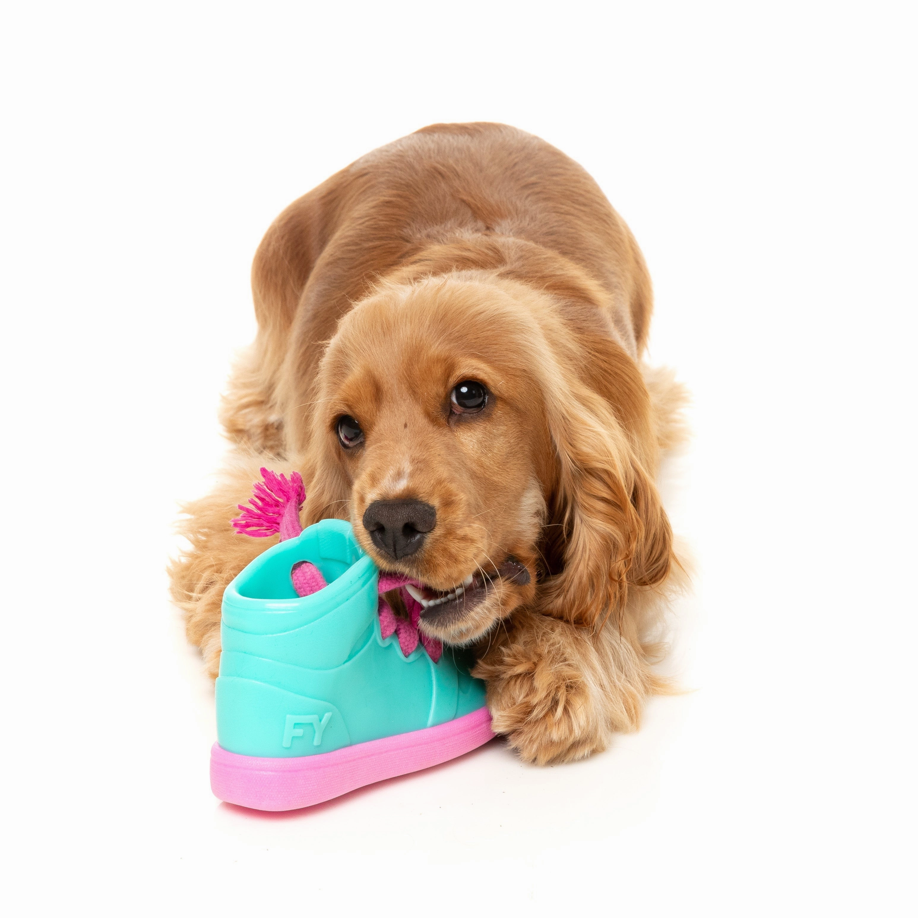 Fuzzyard Dog Toy Fresh Kicks n Licks