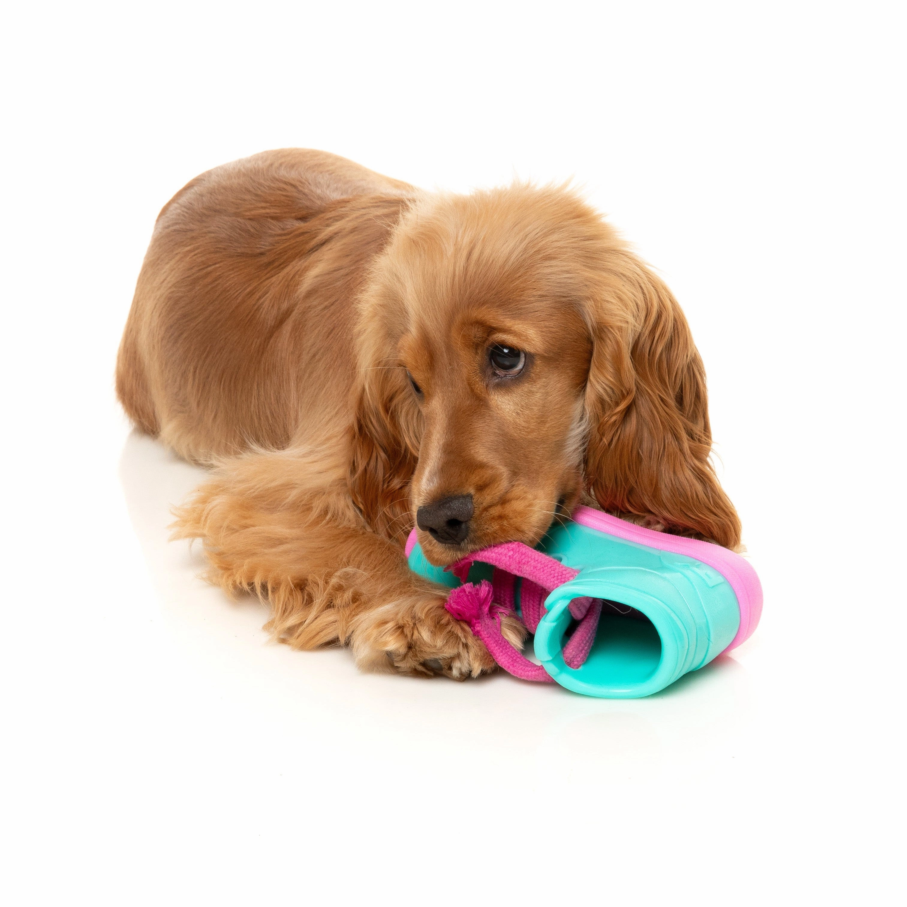 Fuzzyard Dog Toy Fresh Kicks n Licks
