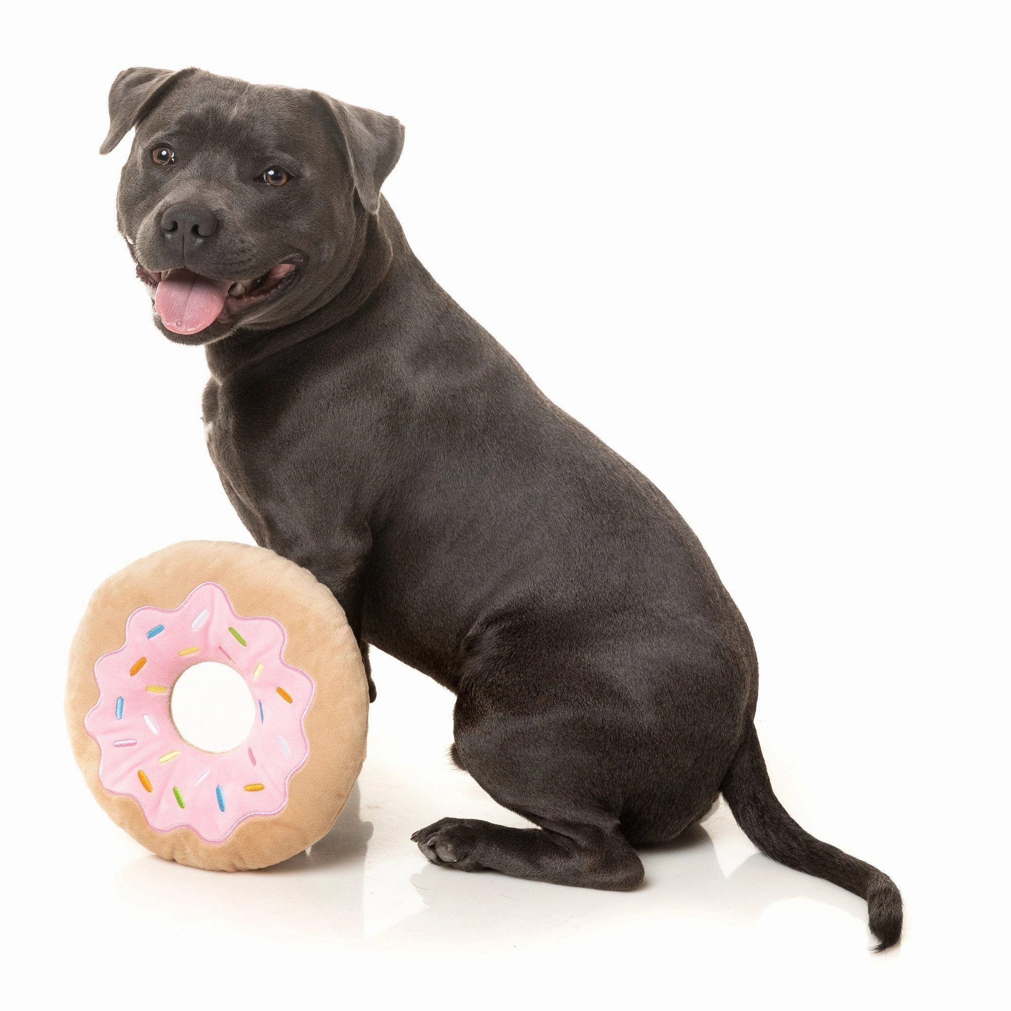 FuzzYard Dog Toy Giant Donut