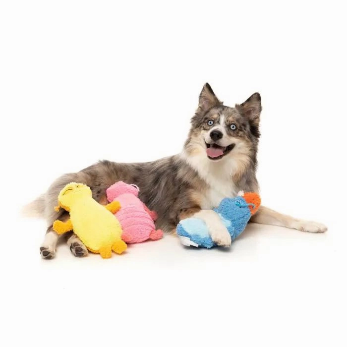 FuzzYard Dog Toy Rolly the Blue Bed Bug