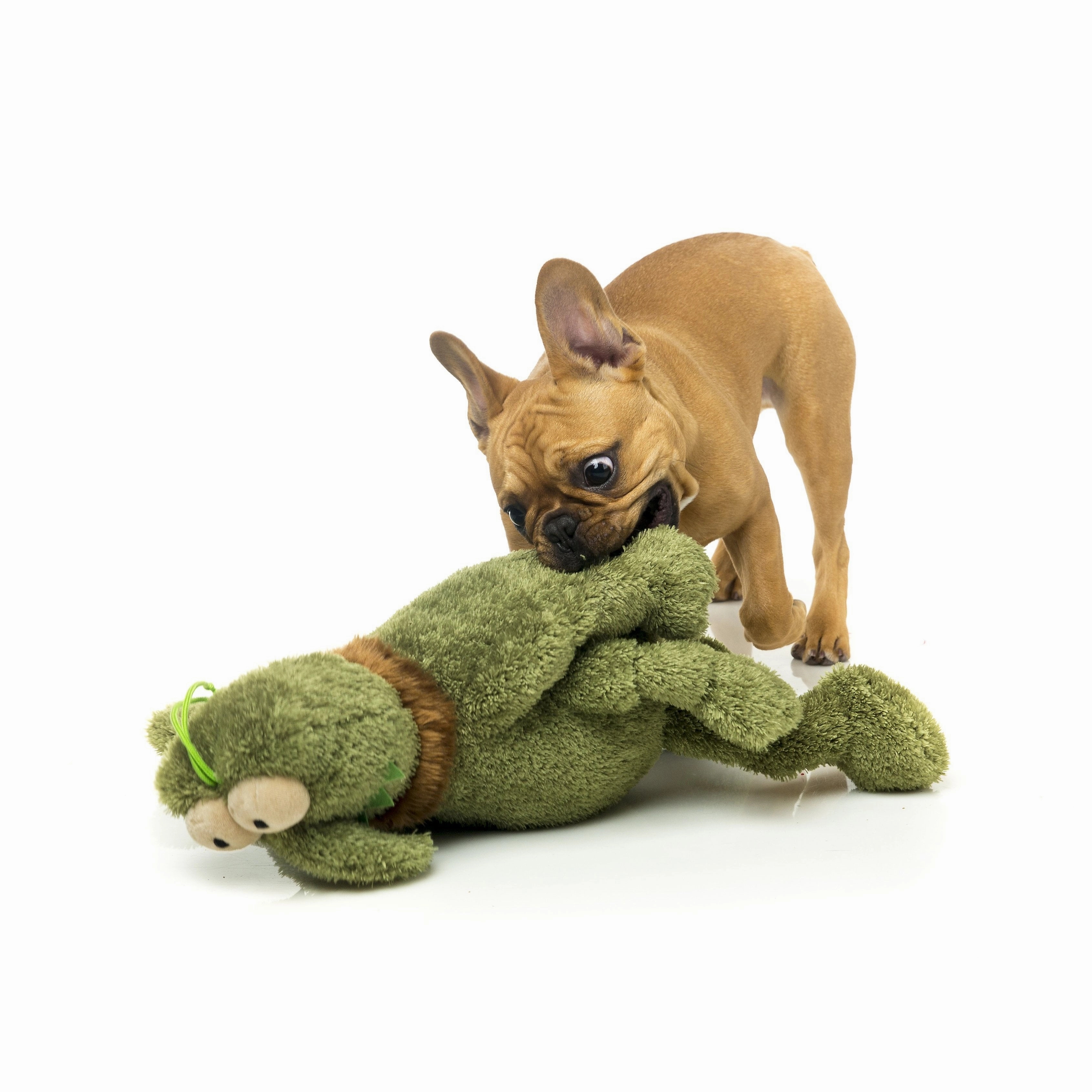 FuzzYard Dog Toy Scratchy Green Flea Small