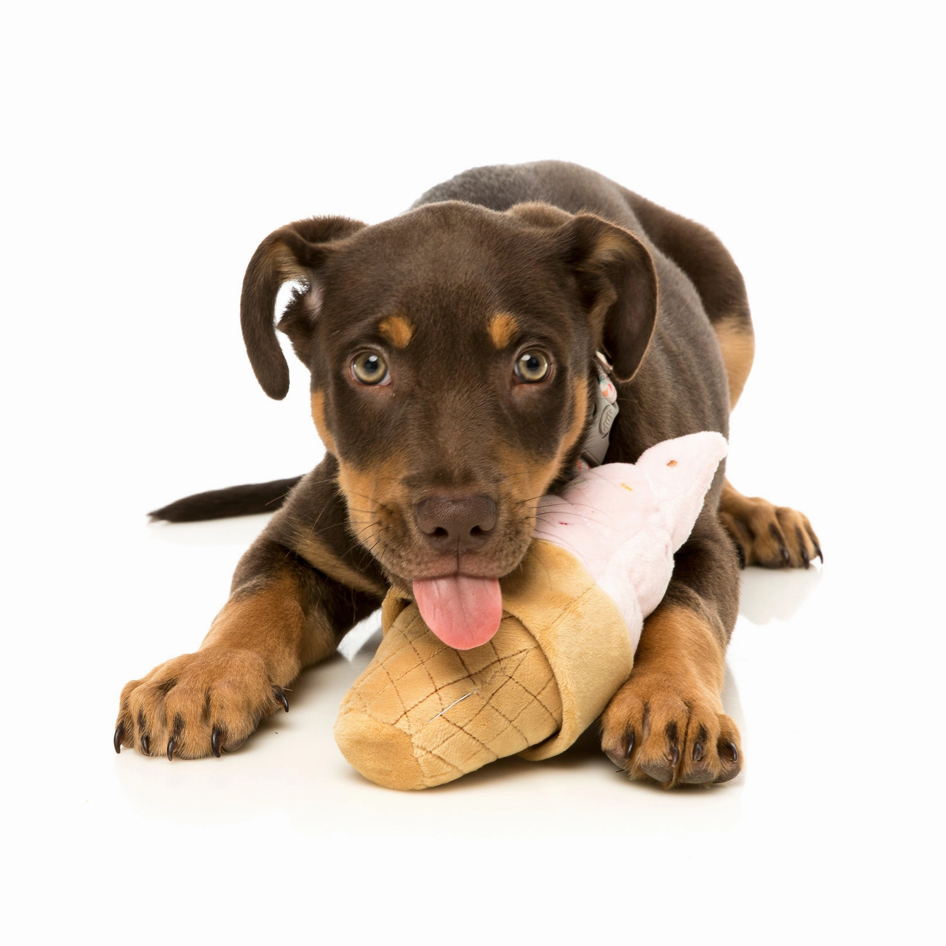Fuzzyard Dog Toy Soft Serve Icecream