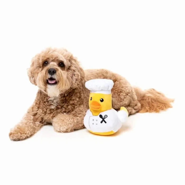 FuzzYard Waddle Squad-dle Gordon Quacksay Plush Dog Toy