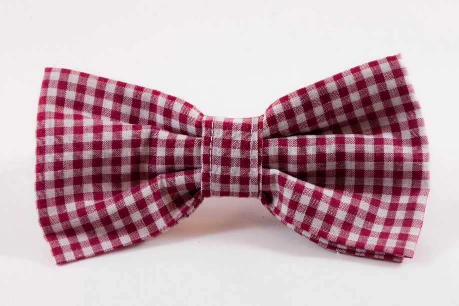 Garnet Gingham Dog Bow Tie Collar