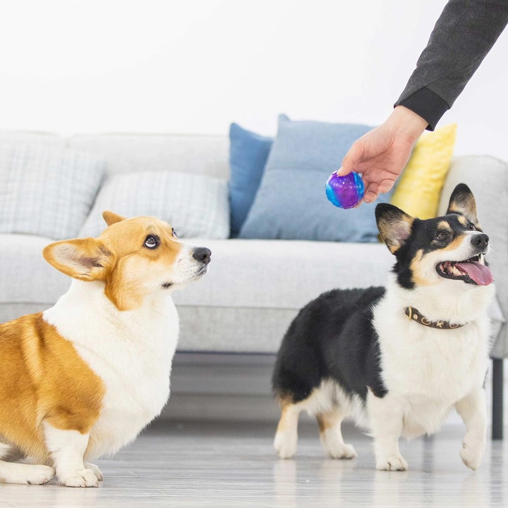 GiGwi Squeaky Ball Dog Toy (Purple/Blue)
