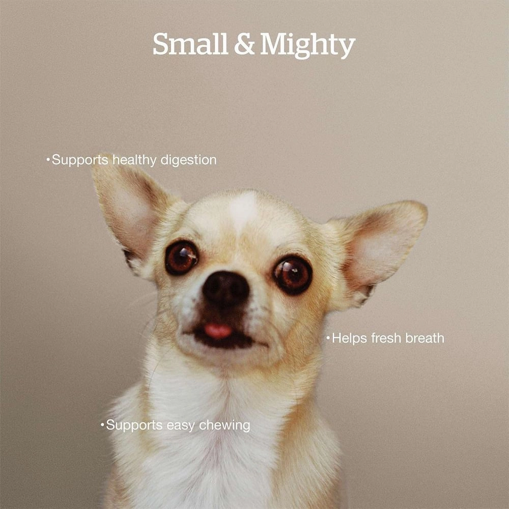 Good Gravy - Salmon Coated in Bone Broth Small Breed Adult Dog Dry Food