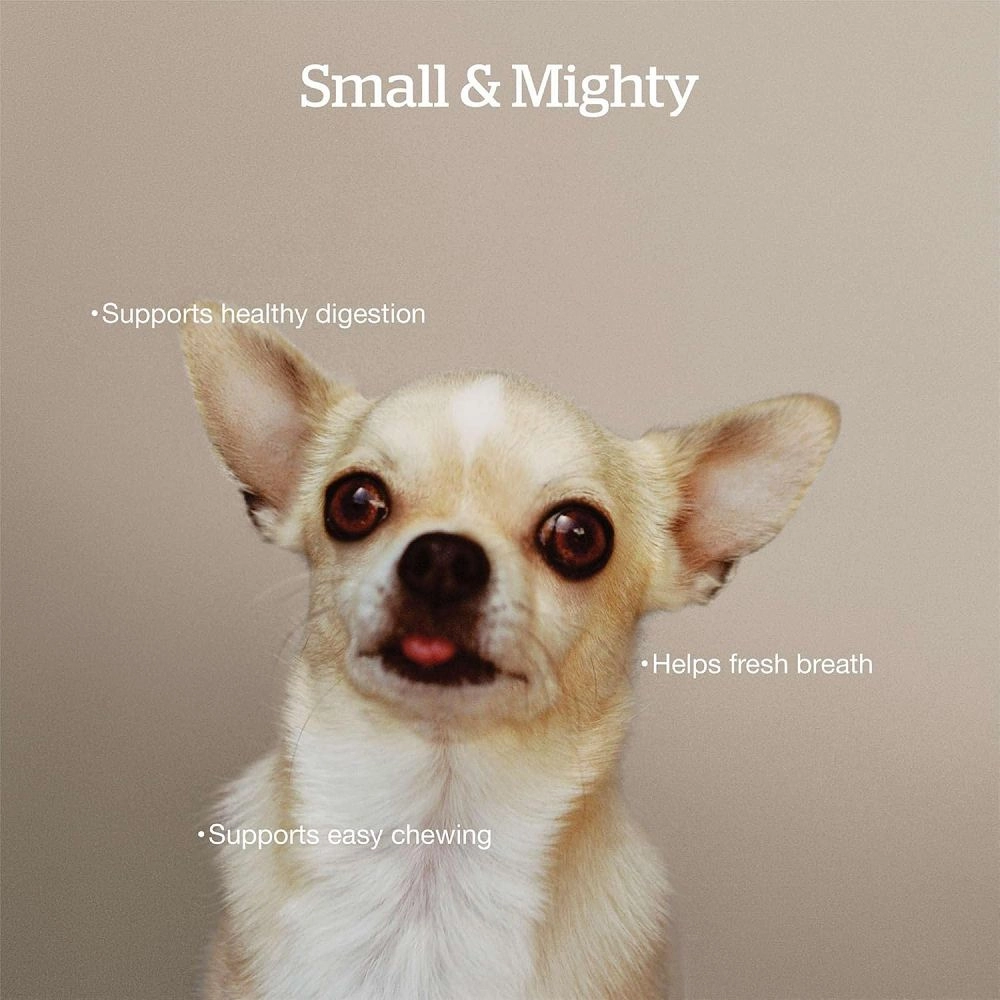 Good Gravy - Salmon Coated in Bone Broth Small Breed Adult Dog Dry Food