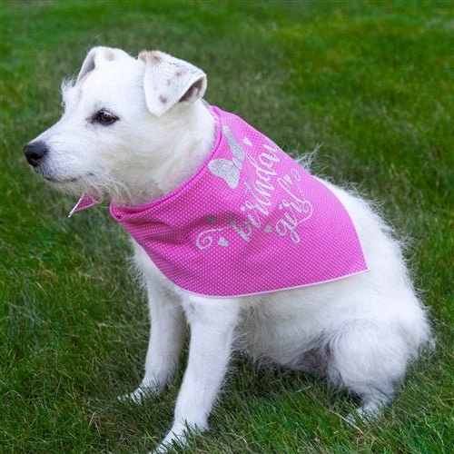 Happy Birthday Girl! Pink Polka Dot Dog Bandana