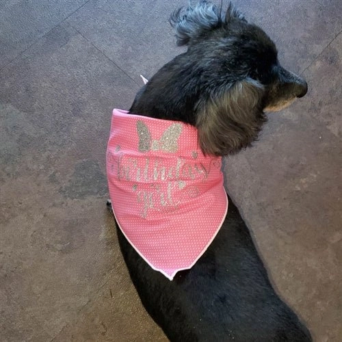 Happy Birthday Girl! Pink Polka Dot Dog Bandana