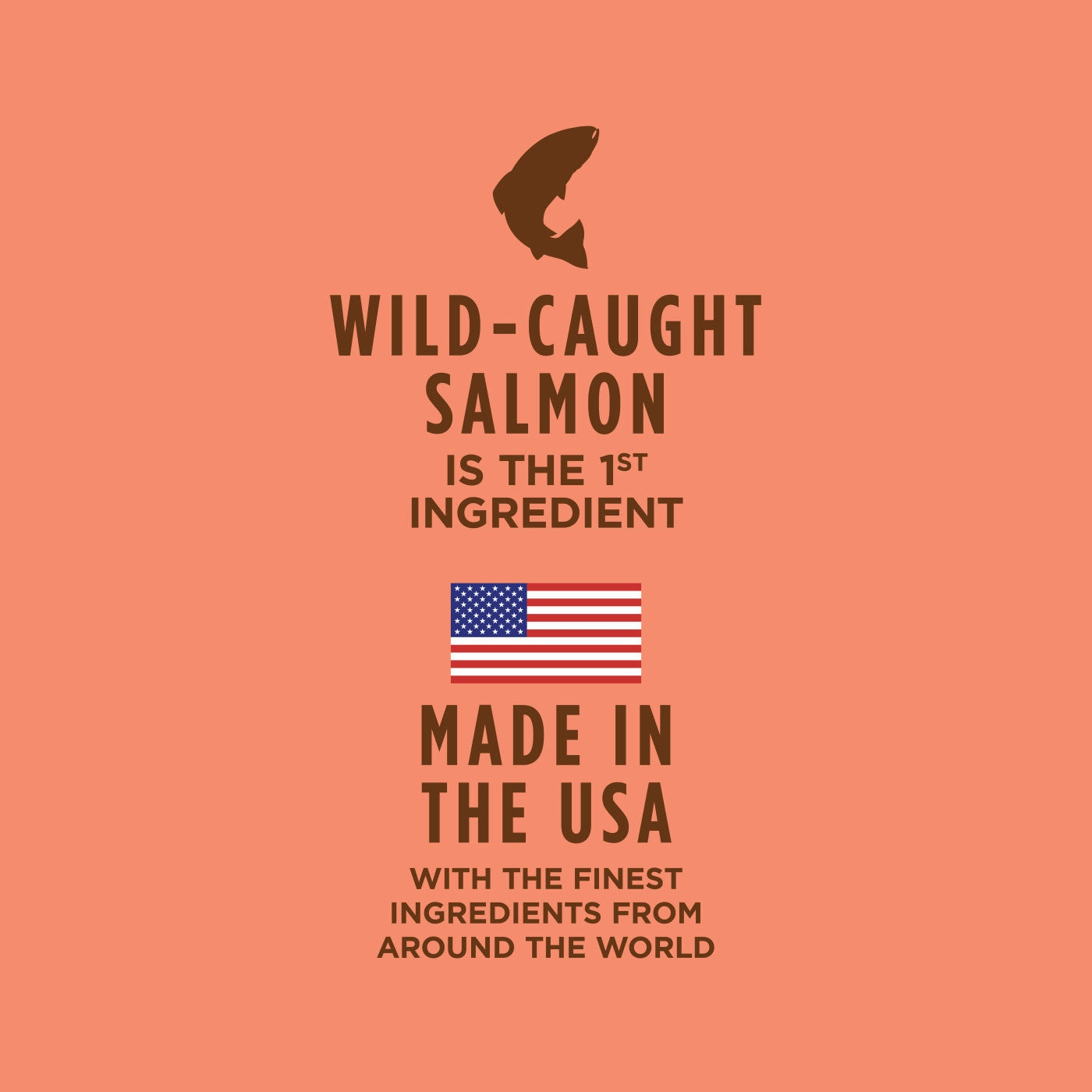 Healthy Cravings Grain Free Salmon Complement Dog Pouch