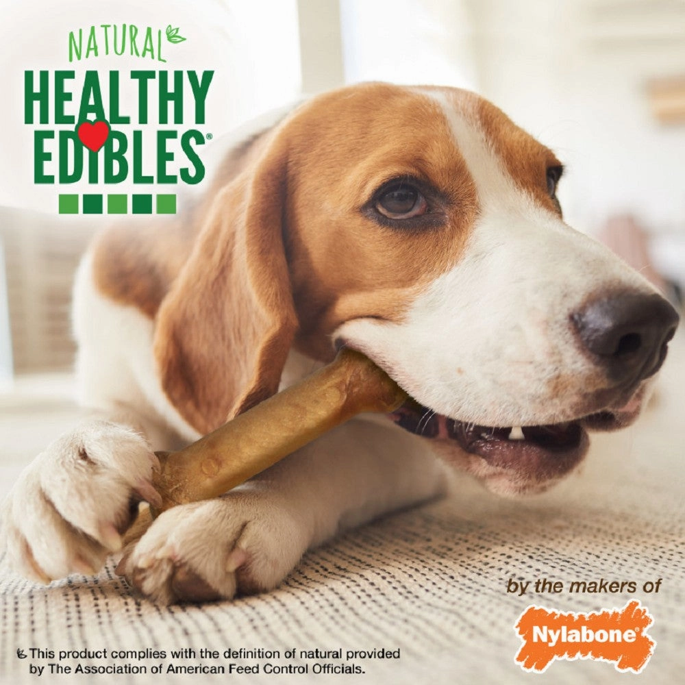 Healthy Edibles Bacon Flavor Dog Dental Chew