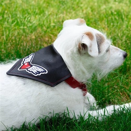 Heart & Wings USA Flag Faux Leather Dog Bandana