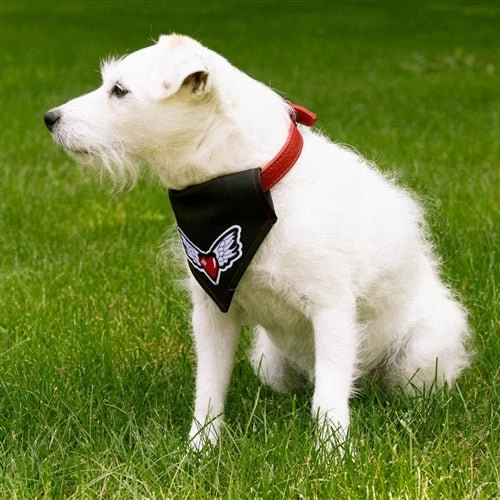 Heart & Wings USA Flag Faux Leather Dog Bandana