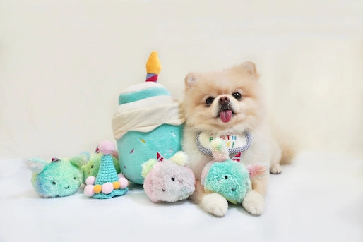 Hey Cuzzies Hide N Seek Birthday Cake Interactive Dog Toy