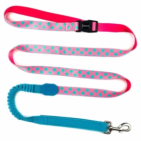 HiDREAM Profusion Multifunctional Dog Leash (Bobby)