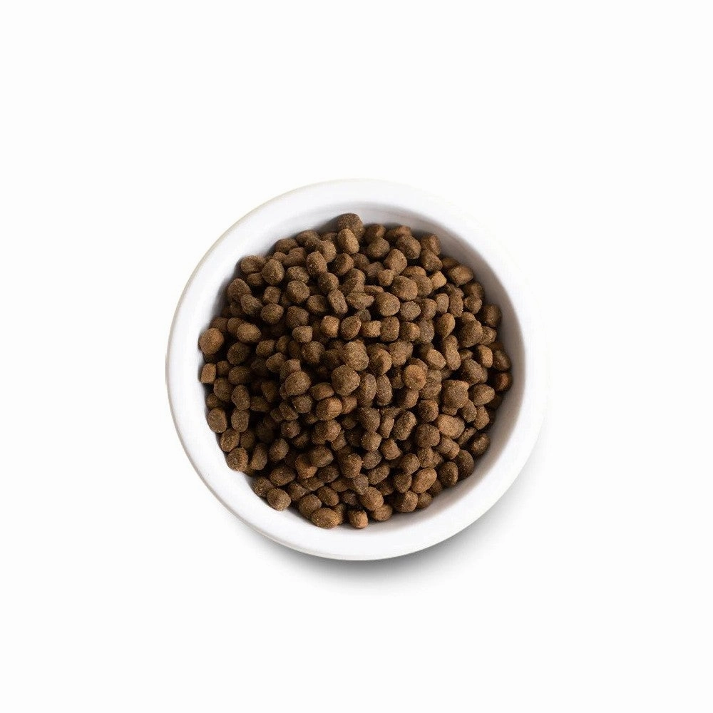 Homestead Turkey & Chicken Dog Dry Food