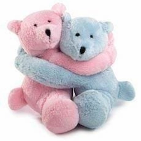 Hugsters Dog Toy