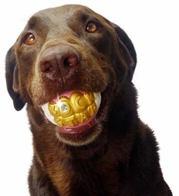 Humunga Bling Dog Toy