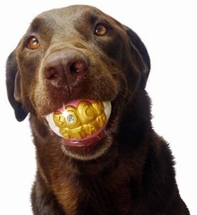 Humunga Bling Dog Toy