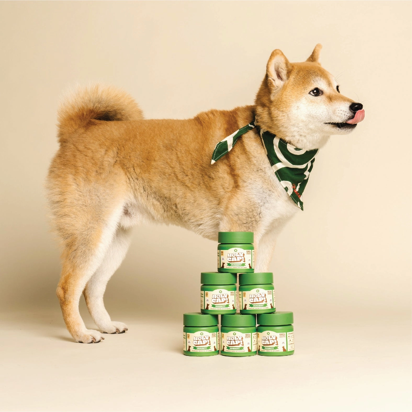 Immunity Support Mushroom Powered Pet Supplement