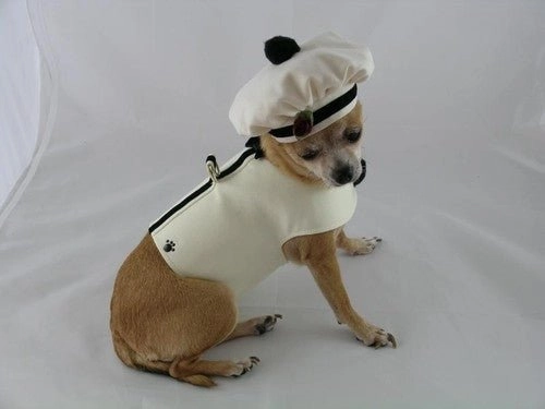 Ivory Harness with Velvet Ribbon Trim