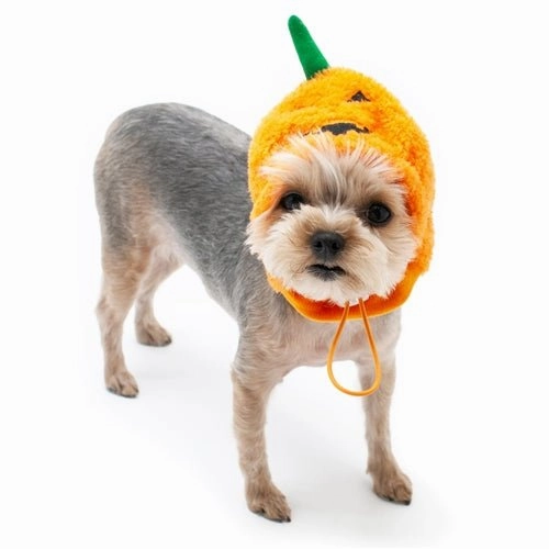 Jack-O Hat in Orange