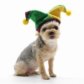 Joker Hat