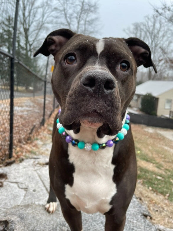 Jovie Dainty Collective Beaded Collar