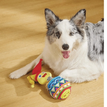 Joyful Snack Attack Dog Toy - Jester