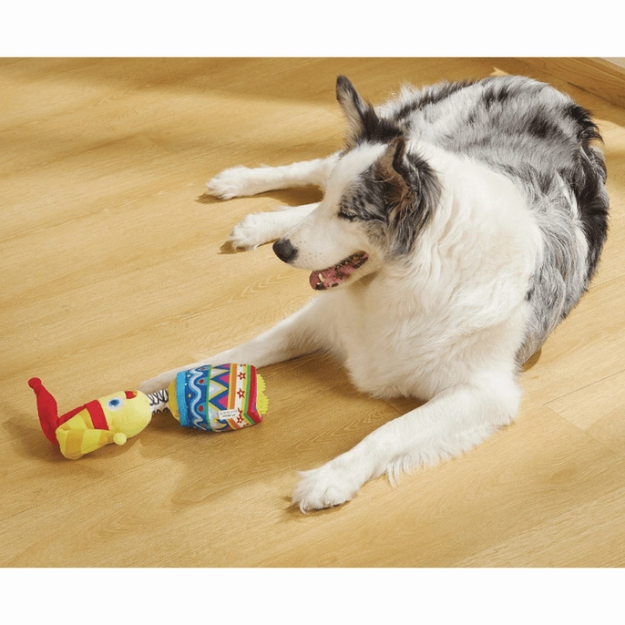 Joyful Snack Attack Dog Toy - Jester