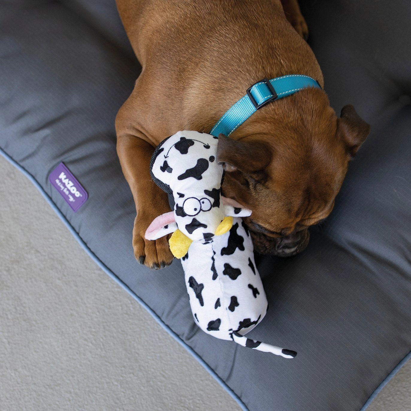 Kazoo Furries Tough Cow Dog Toy ($)($)