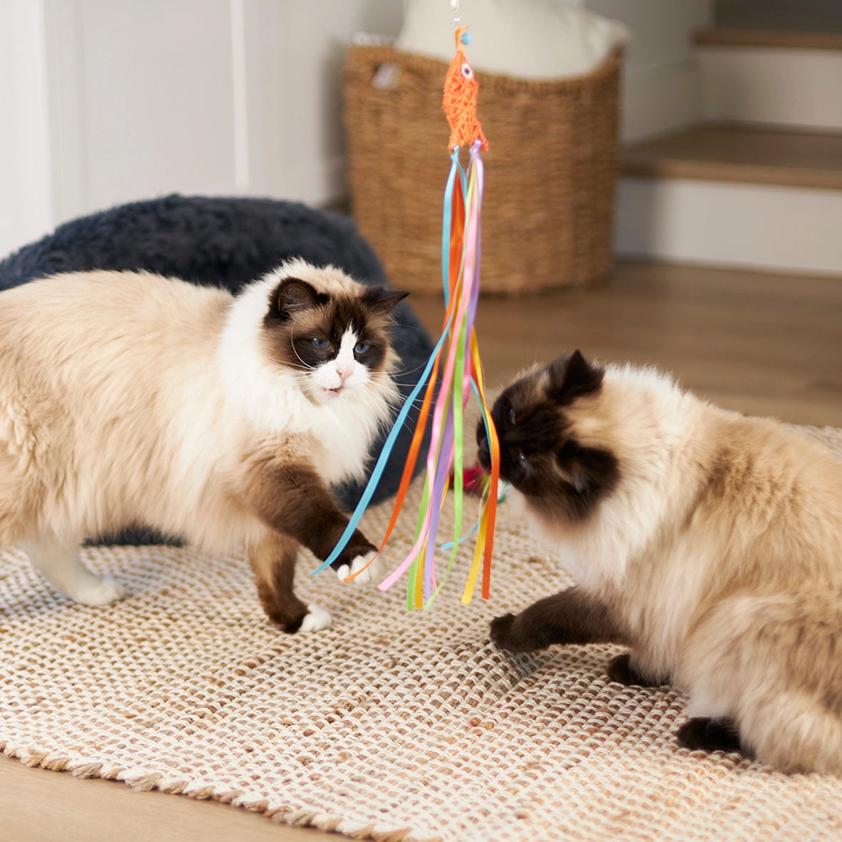 Kazoo Streamer Fish Play and Catch Wand Cat Toy