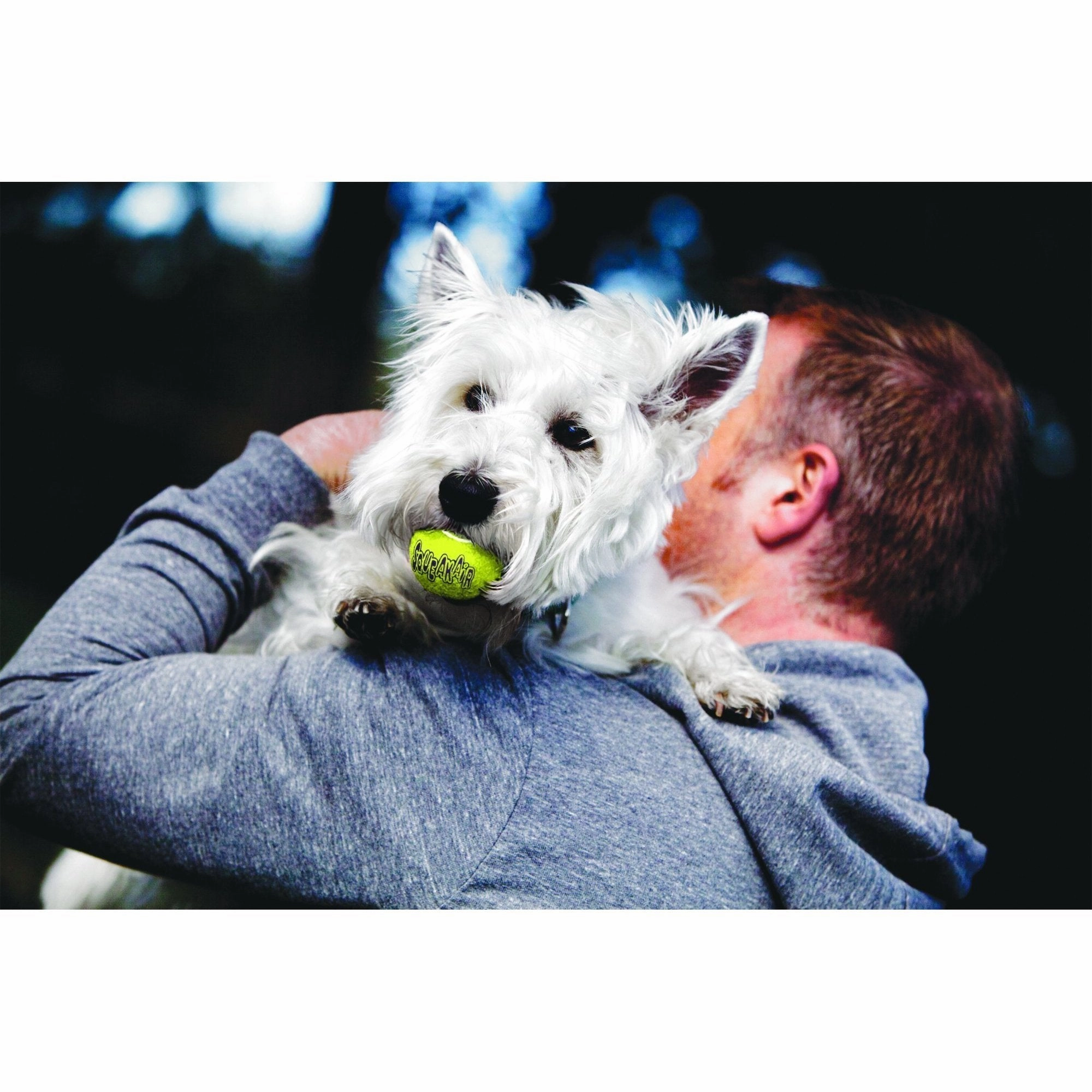 KONG Airdog Squeaker Balls Small Dog Toy 3 Pack ($)($)
