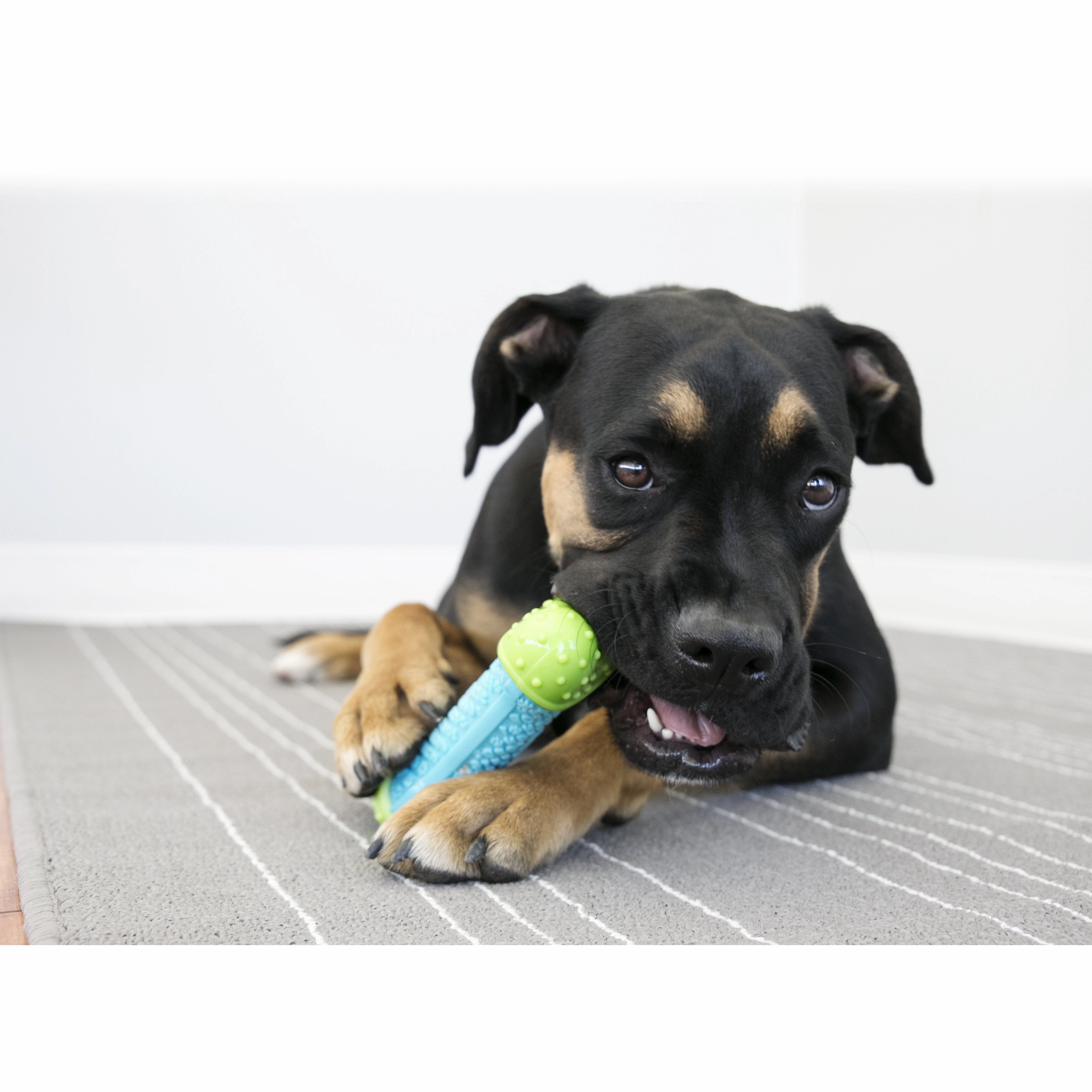 KONG Corestrength Bone Medium/Large Dog Toy ($)($)