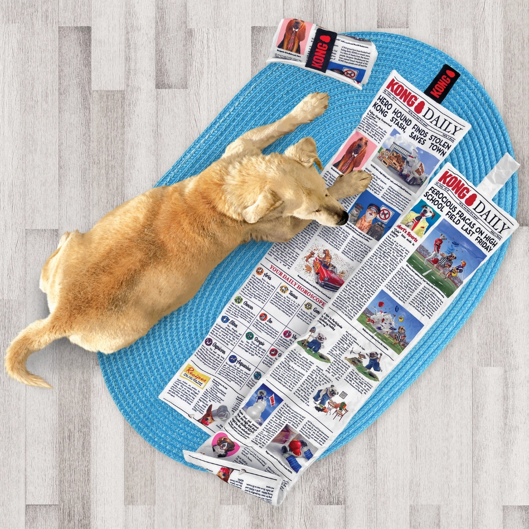 Kong Daily Newspaper Toy XL