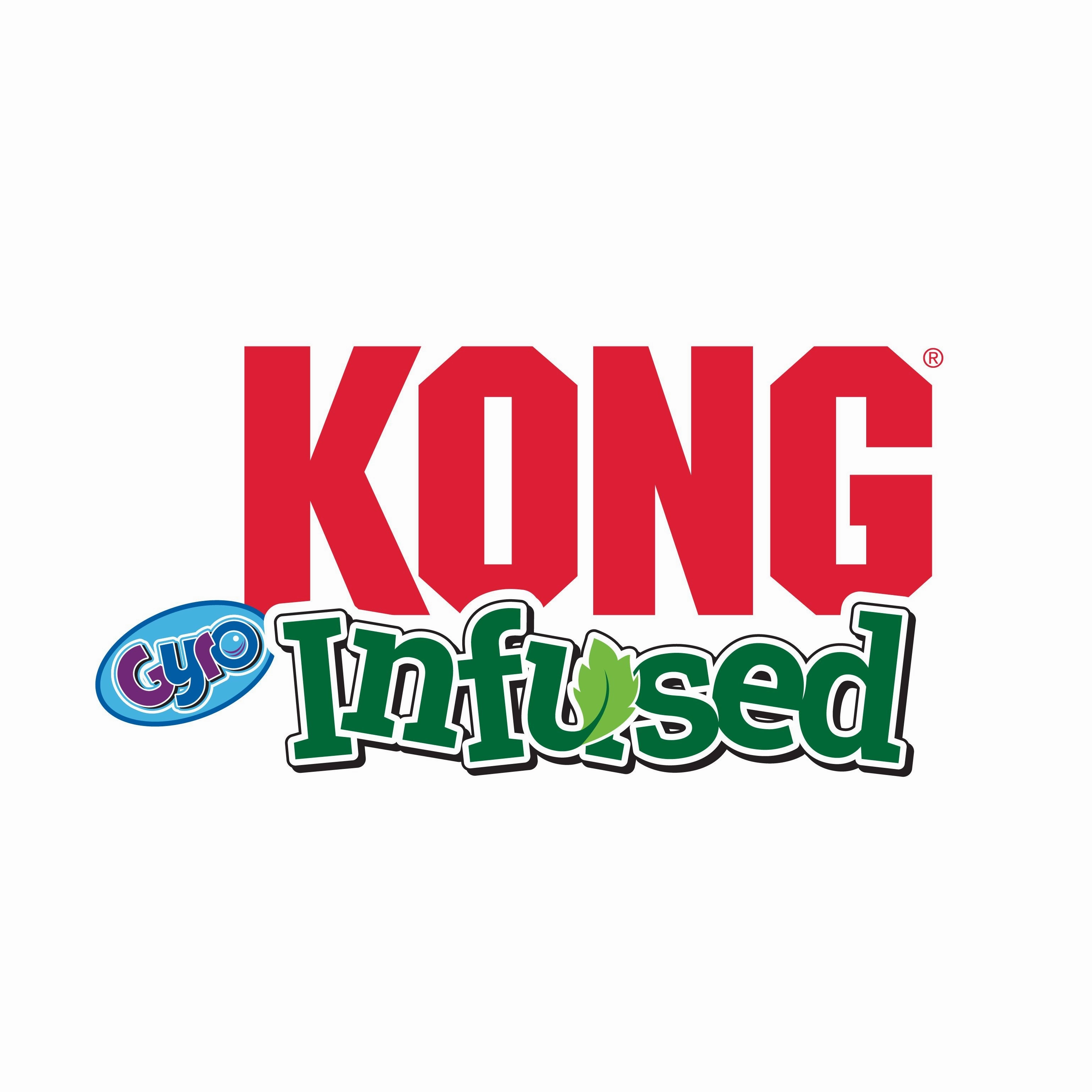 KONG Infused Gyro Interactive Treat Dispensing Cat Toy