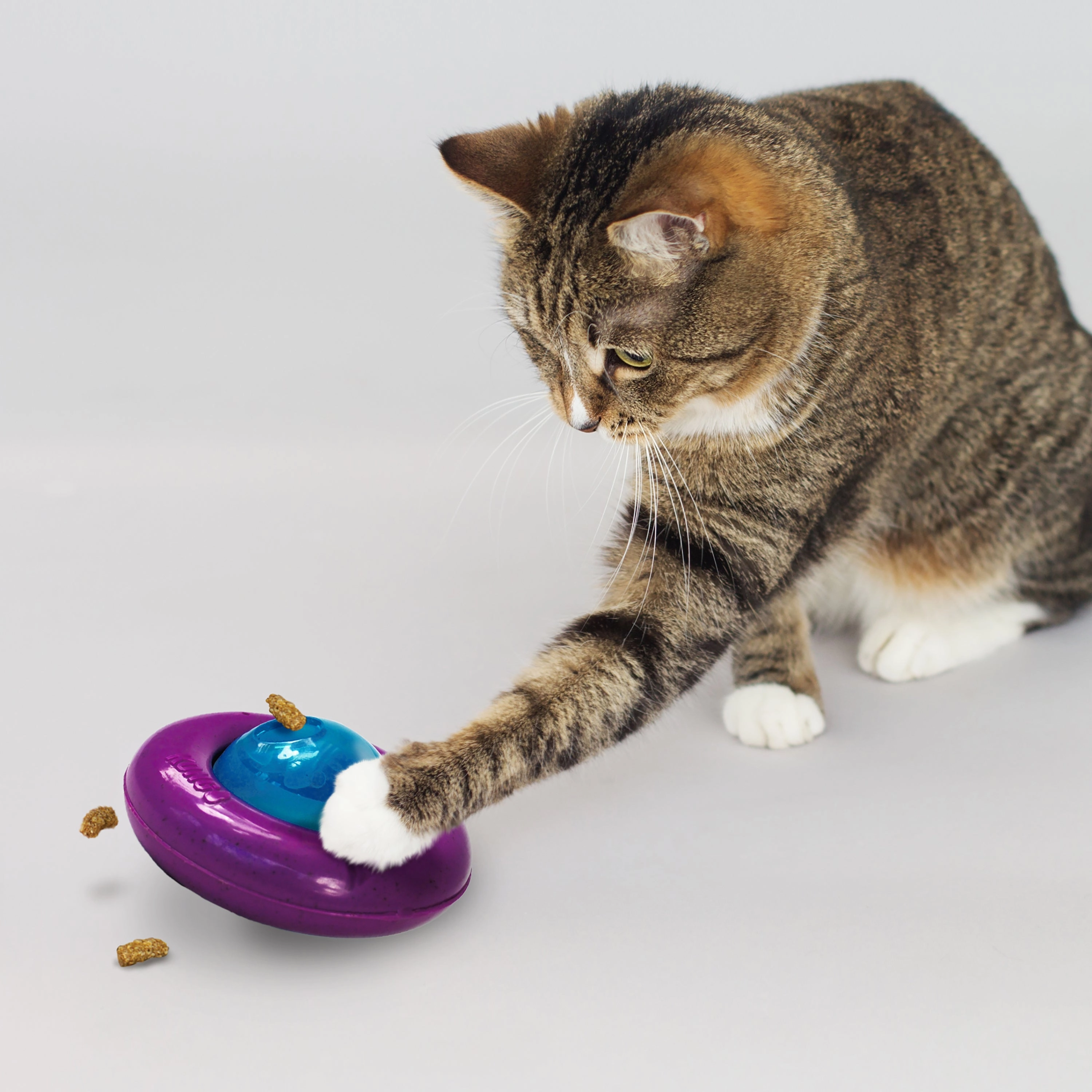 KONG Infused Gyro Interactive Treat Dispensing Cat Toy