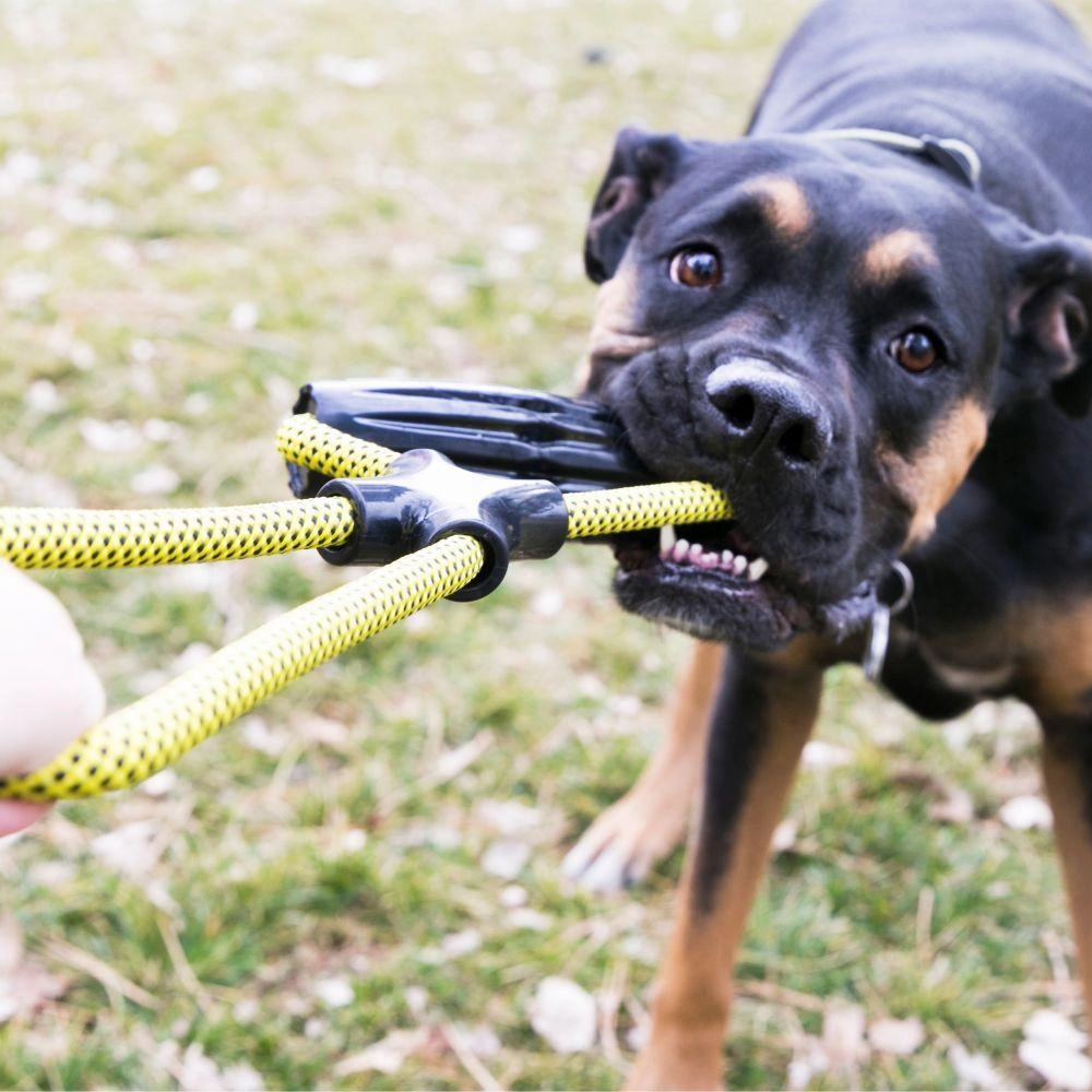KONG Jaxx Infinity Tug Dog Toy Large ($)($)