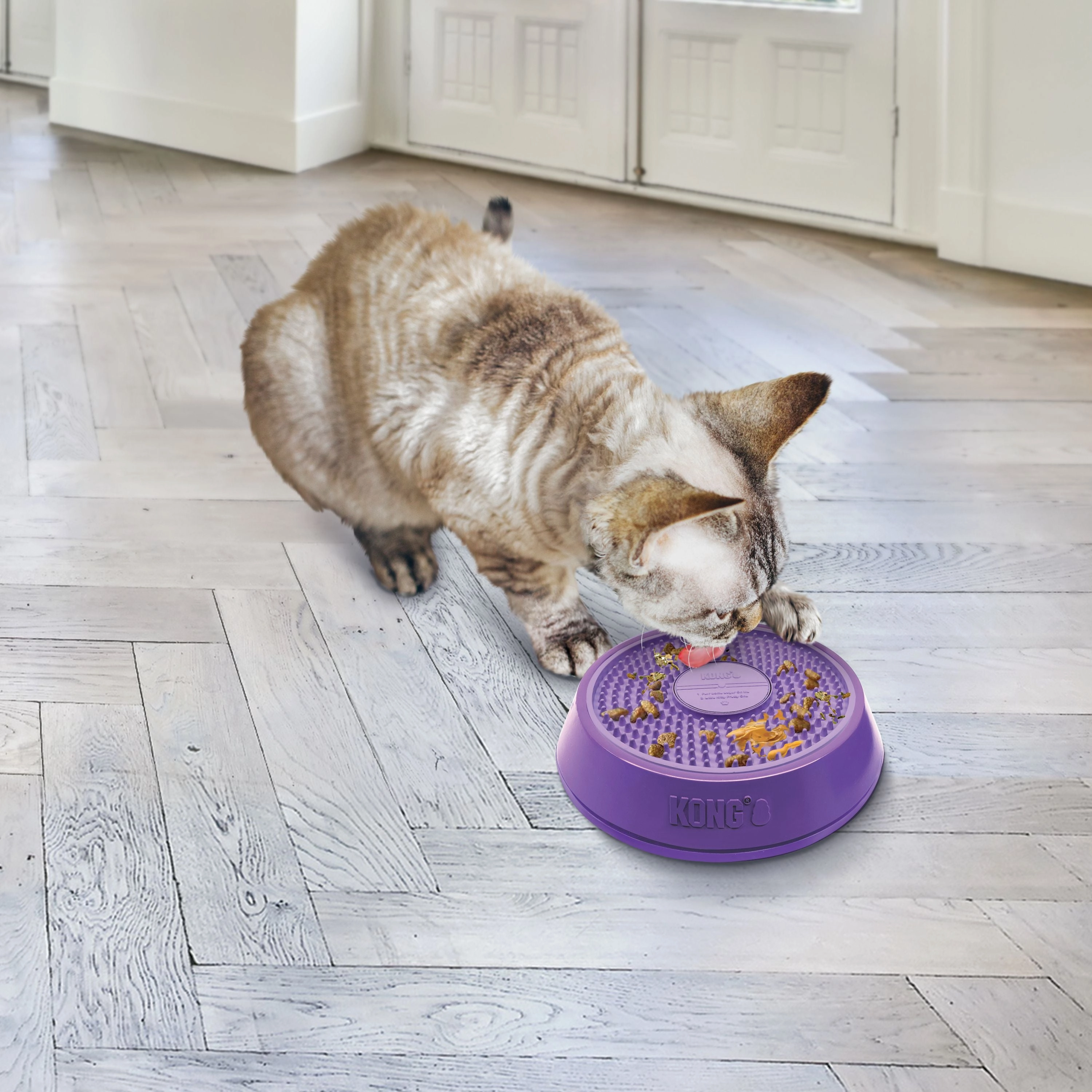 KONG Licks Spinz Interactive Cat Toy