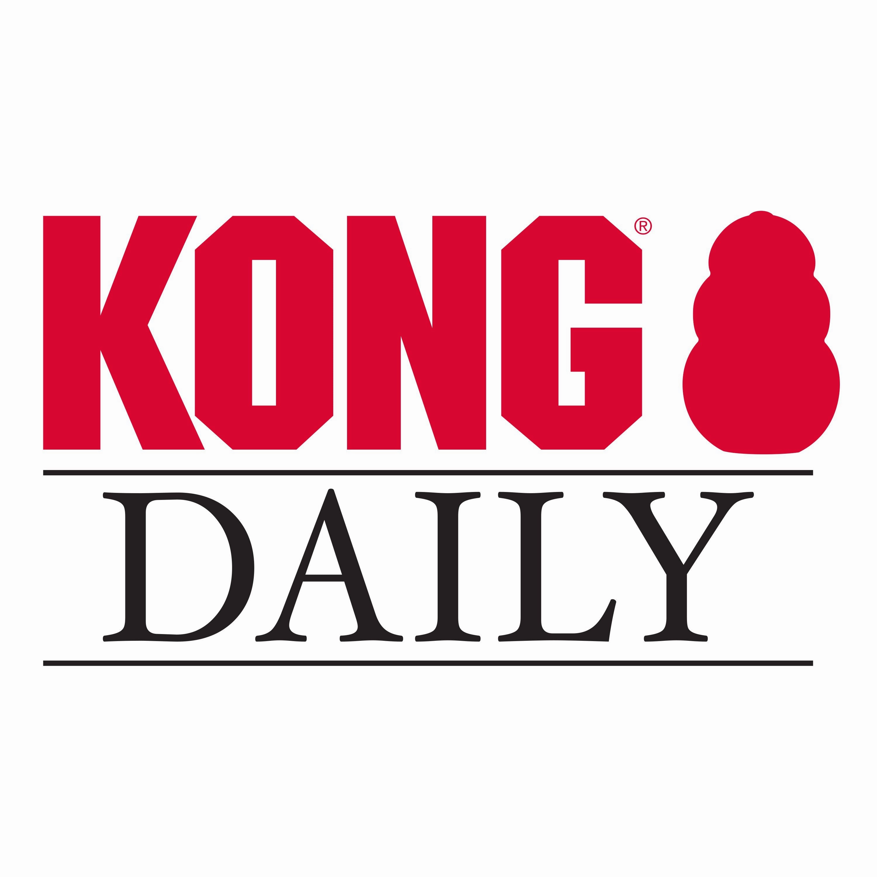 KONG Newspaper Soft Crinkly Dog Toy