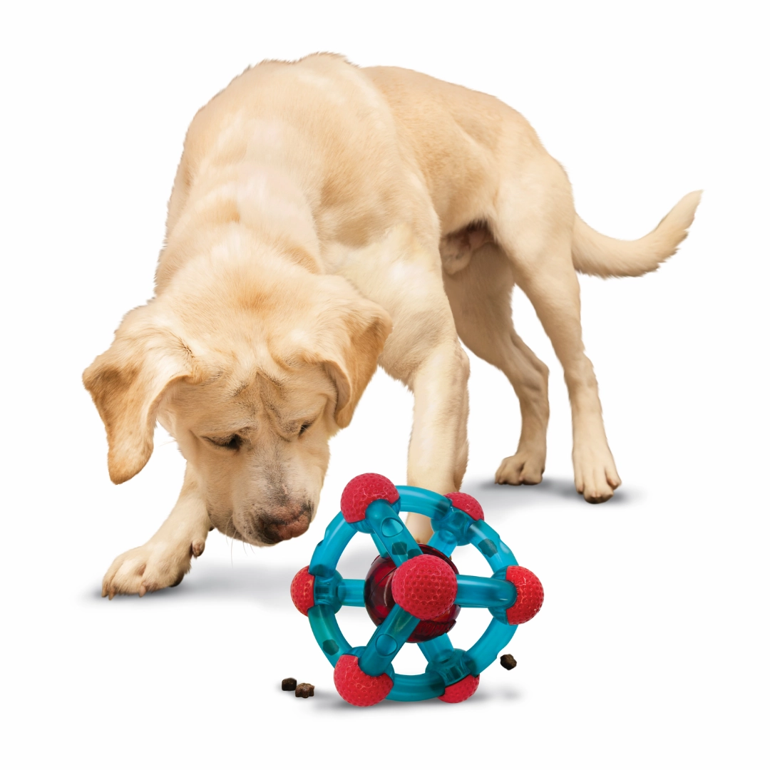 Kong Rewards Tinker Treat Dispenser