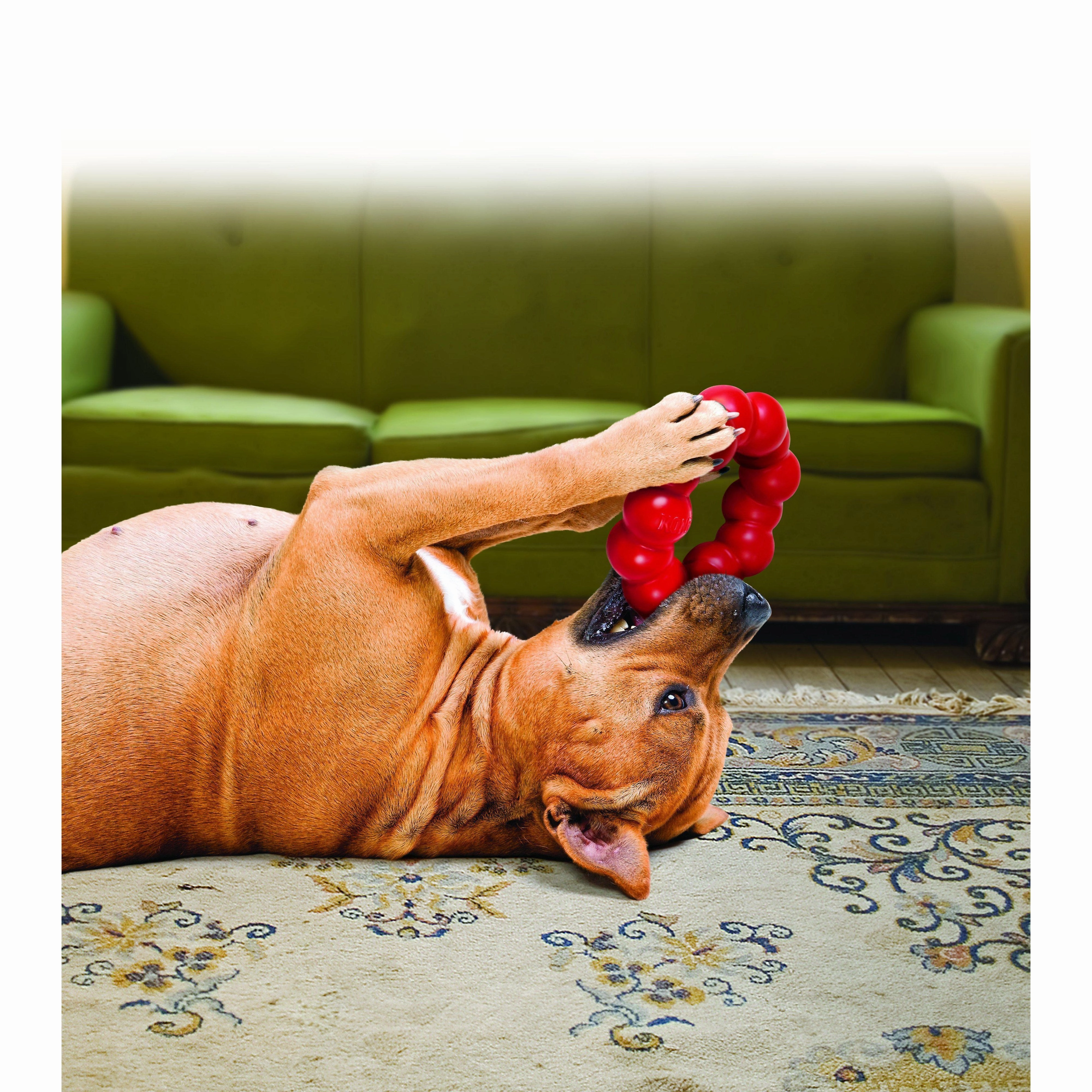 KONG Ring Small/Medium Dog Toy ($)($)