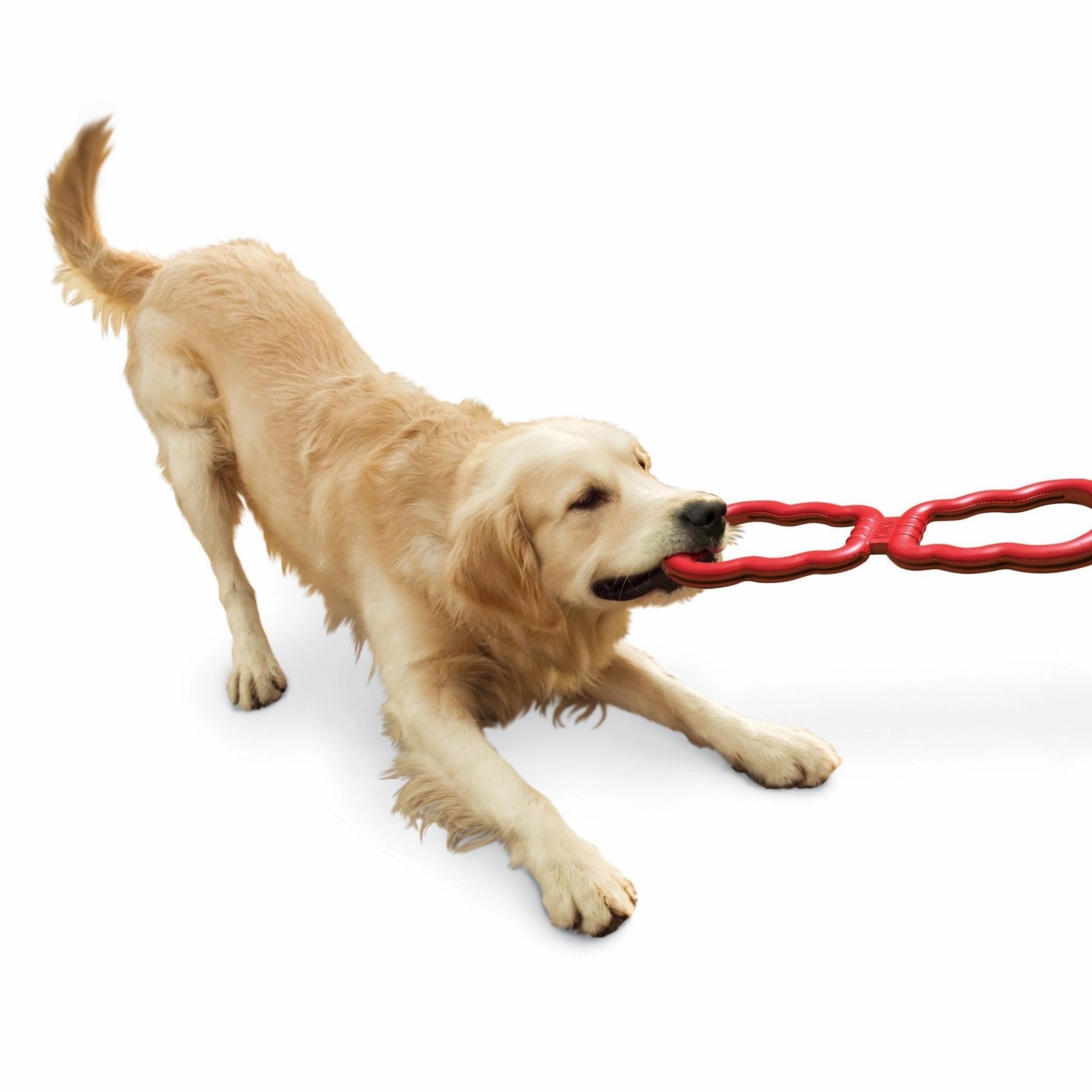 KONG Tug Toy Dog Toy ($)($)
