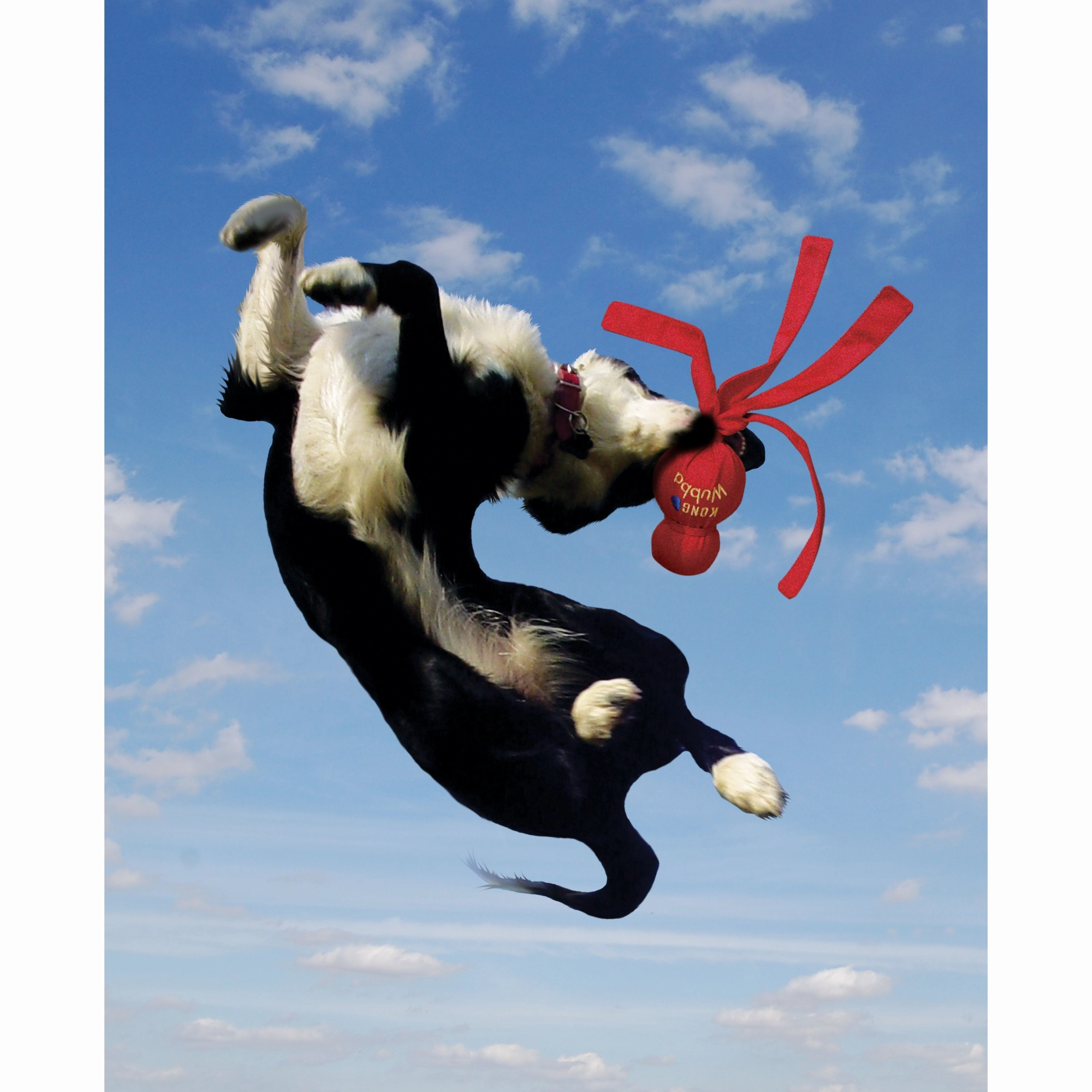 KONG Wubba Classic Extra Large Dog Toy ($)($)